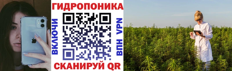 Марихуана индика где продают наркотики Кыштым